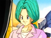 Bulma3