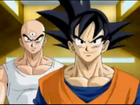 Tien&Goku(DbSagas)