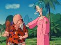 Bulma wants Roshi's Dragon Ball