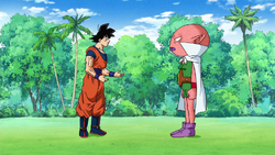 Goku vs