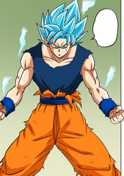 Perfected Super Saiyan Blue Goku