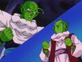 Piccolo and Dende ready to put the technique into practice