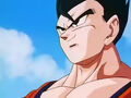 Dbz248(for dbzf.ten.lt) 20120503-18265265