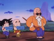 Entrenamiento del Maestro Roshi