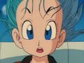 Bulma talking to goku about where there going