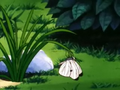 A butterfly in Dragon Ball Z