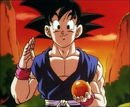 Goku con la esfera 100 años después