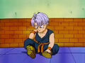 Trunks