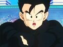 Gohan in the World Tournament Arena