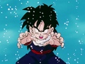 Gohan at Kame House