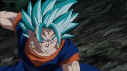 Son Goku Super Saiyan God Super Saiyan Blue by herconaryangga15 on