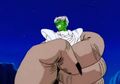 Great Ape Gohan crushes Piccolo