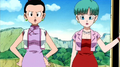 Chi-Chi and Bulma in Yo! Son Goku and His Friends Return!!