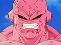 Dbz249(for dbzf.ten.lt) 20120505-11591744