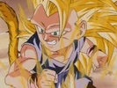 The fur of the tail becomes gold in Super Saiyan 3