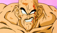 Nappa saga