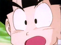 DBZ 31 Who s Who Exelent Quality by pim driessen