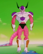 Freezer en su segunda forma.