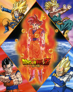 Goku SSJ God Poster DBZ BOG OMG