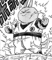 SuperNekomajin(NekomajinZ5)