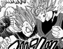 Goku Black vs Vegeta