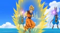 Beerus' duplicates technique