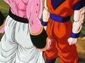 Dbz248(for dbzf.ten.lt) 20120503-18252864