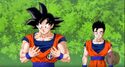 Gohan and Goku