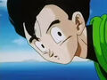 Gohan