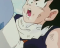 Salt steps on gohan stomach