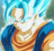 Vegetto Blue