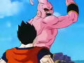 Dbz248(for dbzf.ten.lt) 20120503-18292187