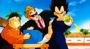 VegetaPicksNumber12