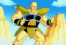 Nappa in the sky