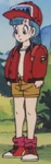 Bulma's appearance just before going to the desert