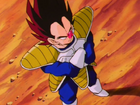 Vegeta waiting