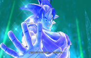 XN - Ending Spirit Goku