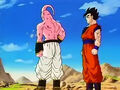 Dbz249(for dbzf.ten.lt) 20120505-11575539