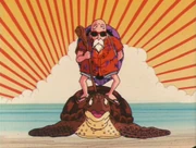 Tartaruga traz Mestre Kame