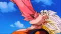 Super Buu forcefully enters Vegito's body