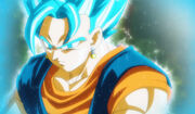 Vegetto1