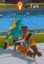 XV2 - Large