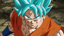 Plaid Dragon Ball Super Attaque Goku SSJ Blue - Sangoku Univers