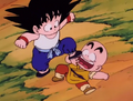 Goku beats Krillin