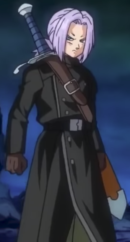 future trunks sweater