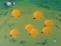 The Dragon Balls are gathered in the King Piccolo Saga