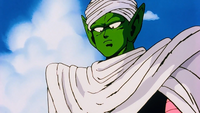 Piccolo arriva alla Kame House