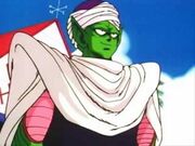 Piccolo25