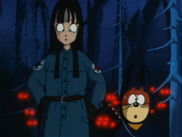 Mai's Age (Kanzenshuu Wiki Tidbit) : r/dragonball