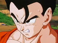 Dbz248(for dbzf.ten.lt) 20120503-18222342